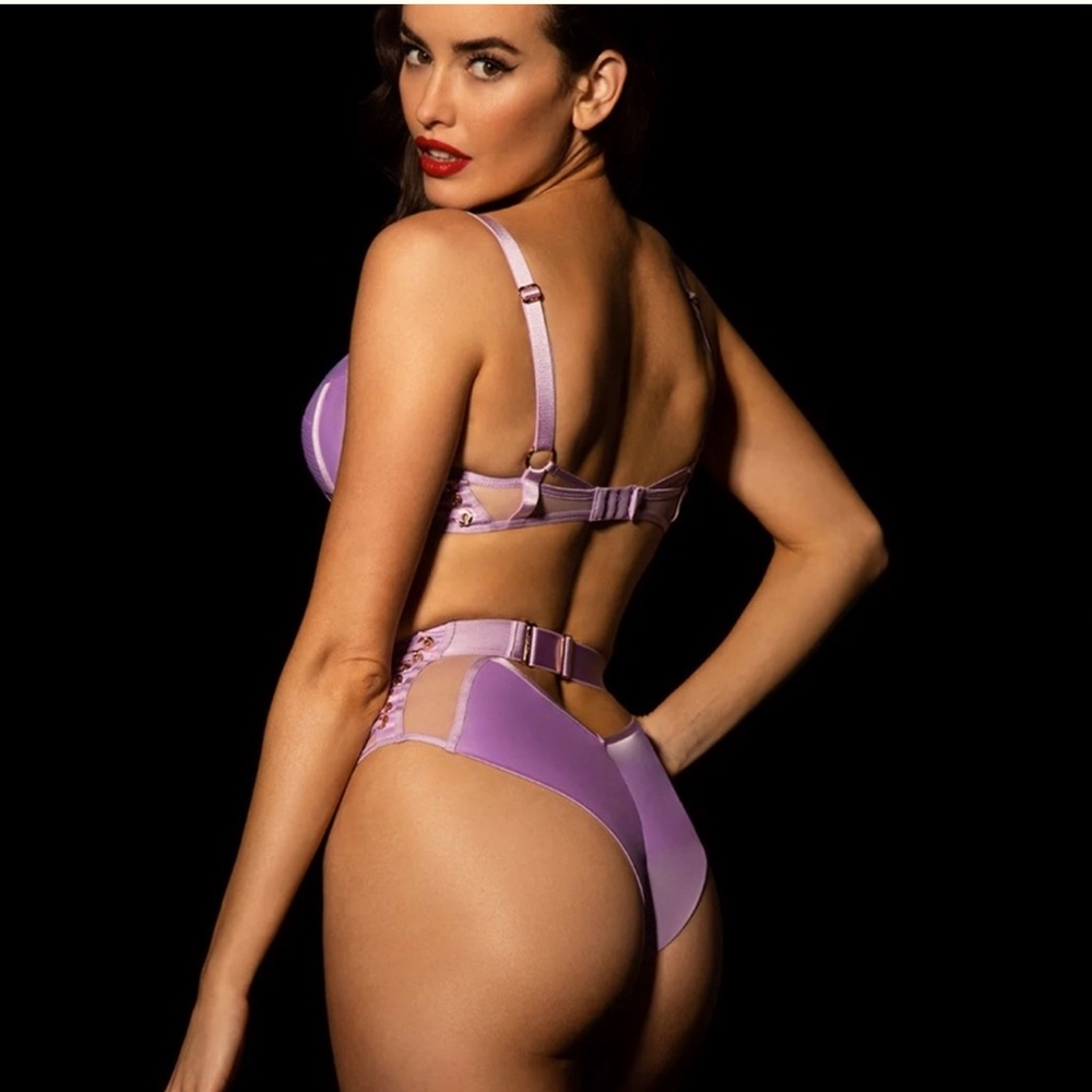 Honey birdette Jerry lilac bra and high waisted panties